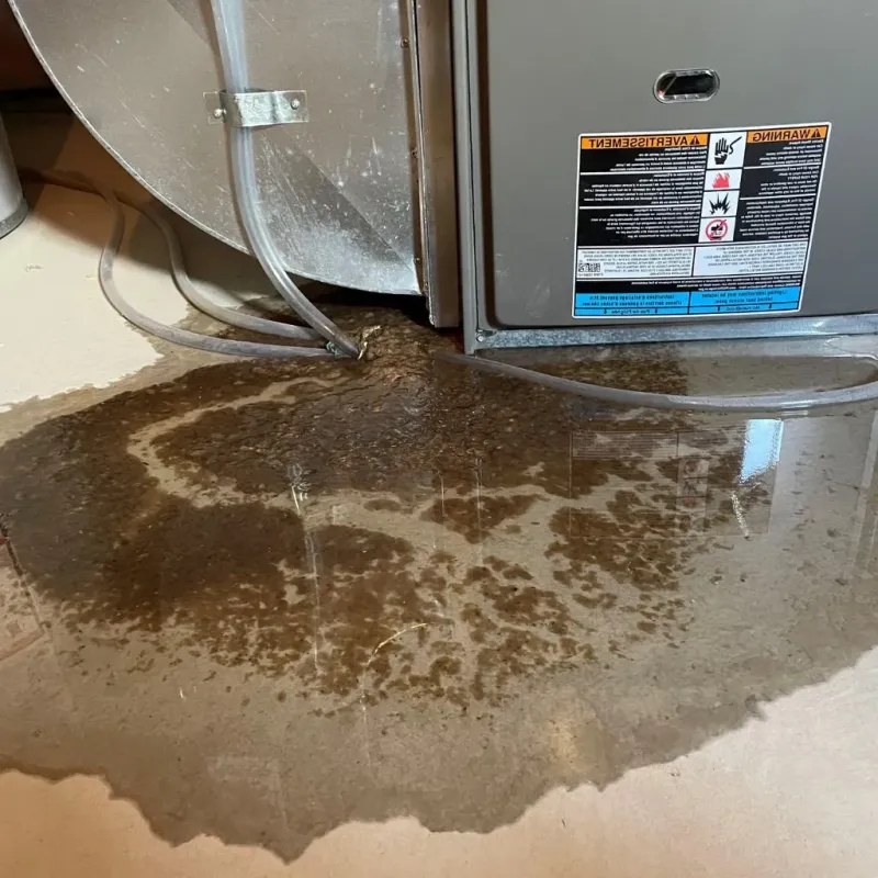 Pipe Burst and Leak Restoration in Tamalpais-Homestead Valley, CA
